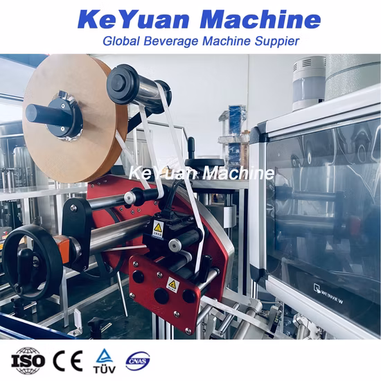 Máquina etiquetadora de etiquetas adhesivas autoadhesivas de tipo lineal, completamente automática, para botellas cuadradas y planas